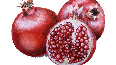 Art Videos How To Paint A Pomegranate Youtube