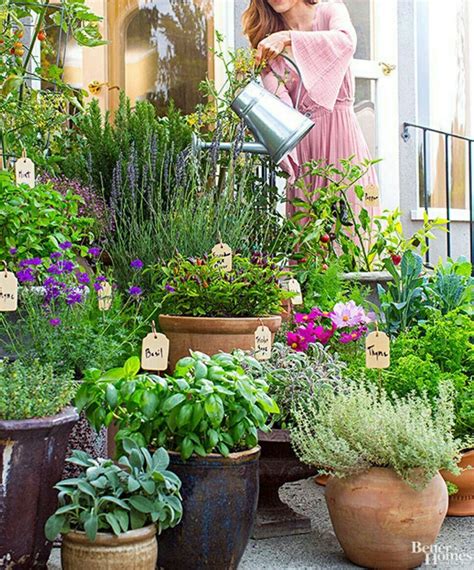 Beautiful Outdoor Container Herb Garden When Combining Various Kinds