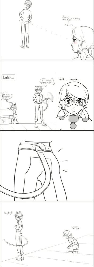I Know That Butt If Not The Puns Recognize To But Lady Bug Ladybug E Catnoir Ladybug Comics
