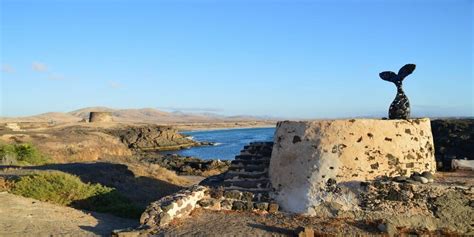 Ranking de las 10+ que ver en el cotillo - ABeamer