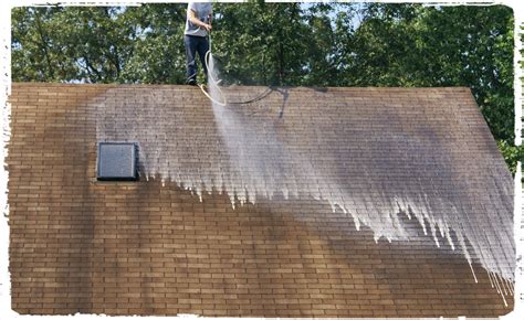 It'll be easier if the debris is dry. Roof Cleaning Denver, Extend The Life Of Your Roof!