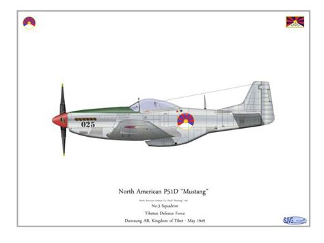 P51 Defence Force Tibet Mustang Fighter Jets North American