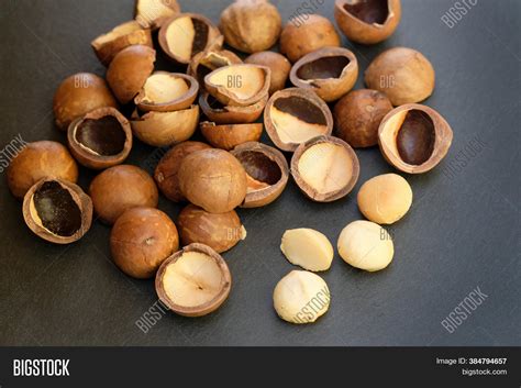 Macadamia Nut Shell On Image & Photo (Free Trial) | Bigstock