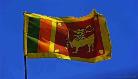 Flag Of Sri Lanka Sri Lanka Sri Lanka S Flag Sri Lank Vrogue Co