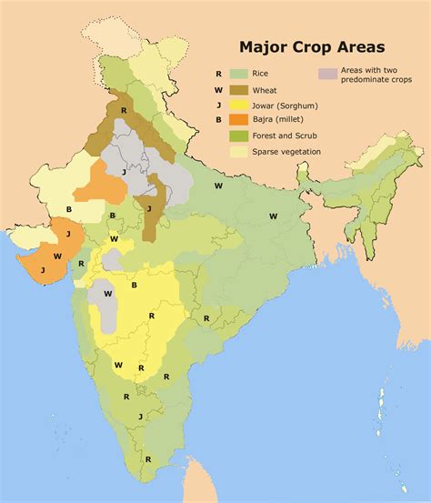 Cropping Patterns And Major Crops In Different States Of India