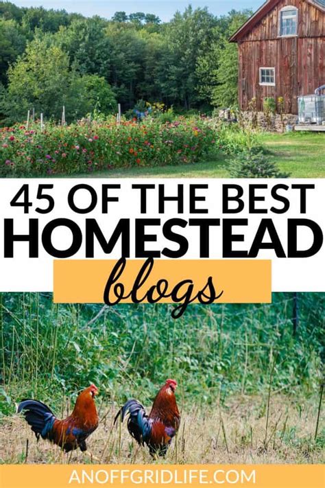 45 Best Homestead Blogs To Learn About Self Sufficient Living