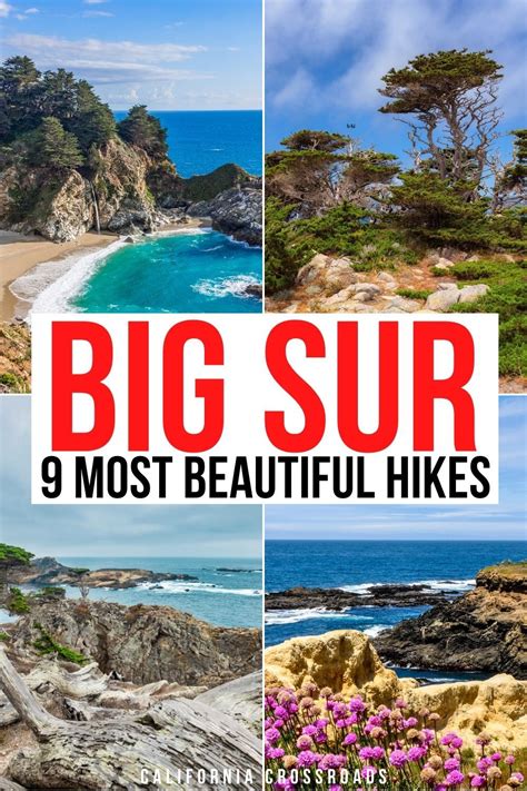 9 Magical Big Sur Hikes Worth Taking in 2021 | Usa travel guide, Travel