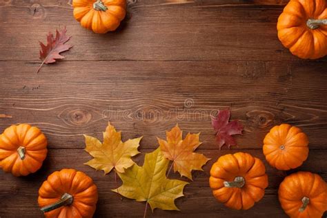 Autumn Thanksgiving Background Pumpkins And Leaves On Rustic Table Top