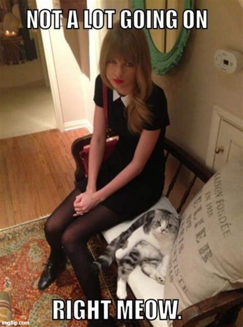 T Swifts Cat Status Imgflip