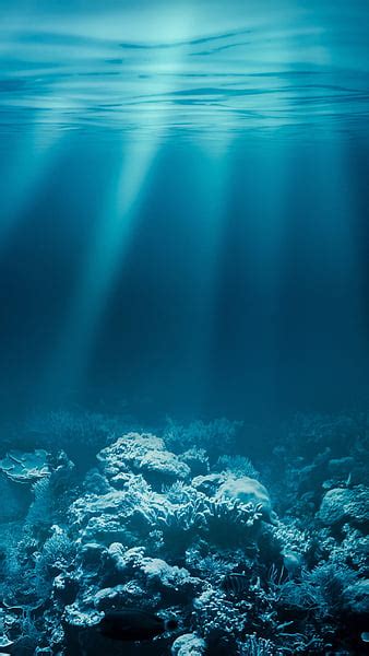 Underwater Ocean Wallpaper Hd