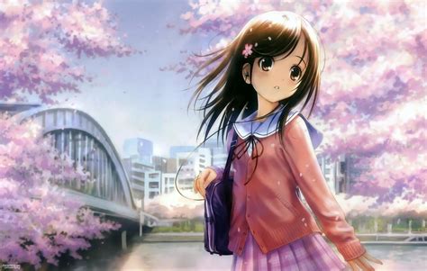 Anime Girl Brown Hair Brown Eyes Wallpaper 1600x1019