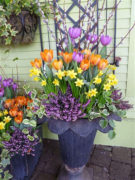 A Bouquet Of Spring Containers — Enchanted Gardens