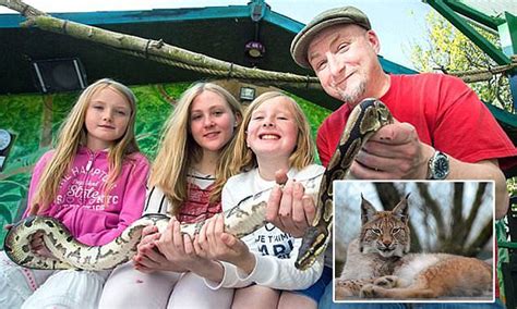 Lynx Scandal Zoo Two More Animals May Have Died In Borth Daily Mail
