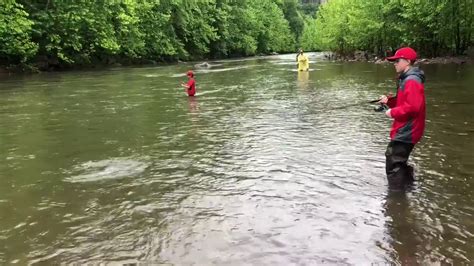 05/07/2021 smallmouth bass cabin at harman's luxury log cabins west virginia. Harmans Cabins WV using our 3 Drifter worms and catching ...
