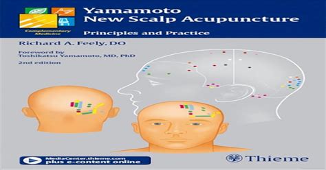 New Scalp Acupuncture Principles And Practice