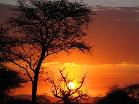 African Cruise Holidays Africa Travel Serengeti National Park