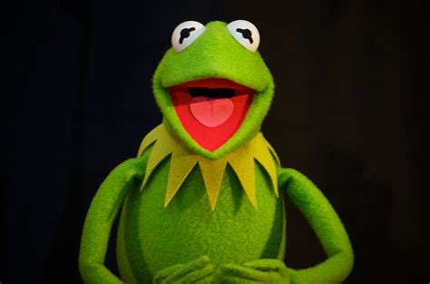 Kermit Is Back Again Fixed His Eyes Improved His Furhair Modeled