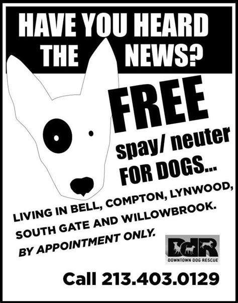 If you are eligible to receive government help such as: You should probably read this about Free Spay And Neuter ...