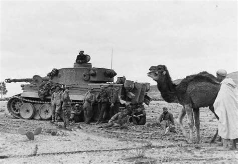 German Tiger 111 501st Heavy Panzer Battalion At Tunis North Africa