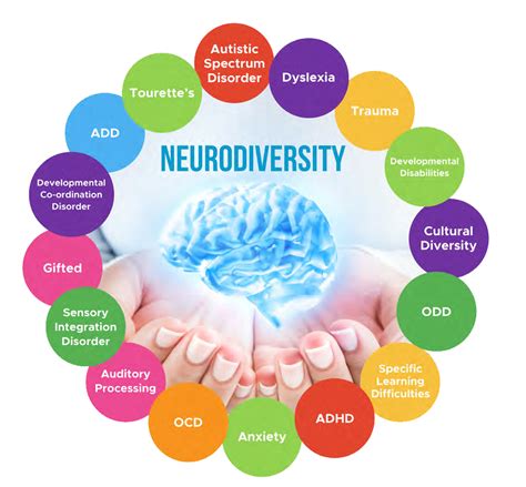 Neurology And Learning Neurodivercity