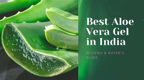 Amara beauty organic aloe vera gel is 99.75% organic, 0.25% natural preservatives, and 100% natural thick gel for hydrating skin, hair, and cuticles. 10 Best Aloe Vera Gel in India for 2020 with Price {100% ...