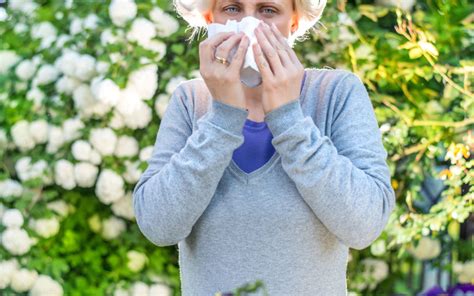 The Different Types Of Allergies Types Of Allergies And How They Are