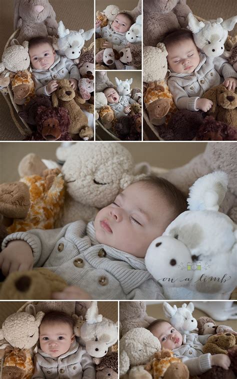 We help you navigate your way through parenthood with expert parenting and baby care tips. 4 month old photo shoot :: On A Limb Photography :: Columbus, Ohio | 6 month baby picture ideas ...