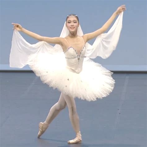 New Adult Swan Lake Ballet Dance Costumes Professional Platter Tutu