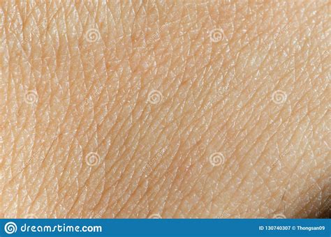 Human Skin Texturemacro View Stock Image Image Of Asian Design