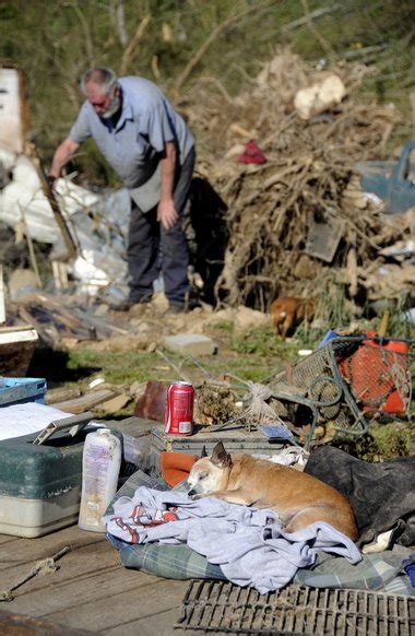 Hotline Set Up To Reunite Pets With Owners After Tornadoes