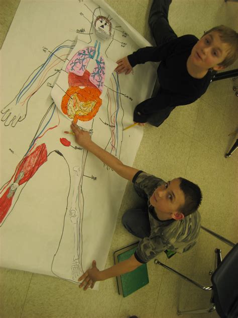 Each system plays an important role, and is made up of several the unit the human body helps students explore the structures that make up their body, and how the various parts of their body work together. Learning Adventures in the Big Third Grade: Human Body ...