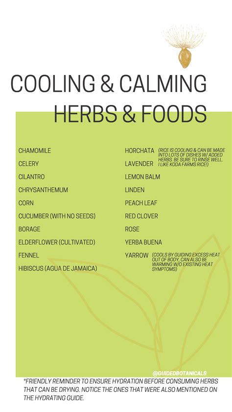 Herbs And Foods Guide Guided Botanicals