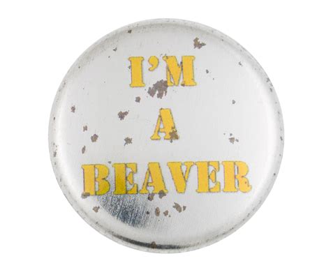 i m a beaver busy beaver button museum