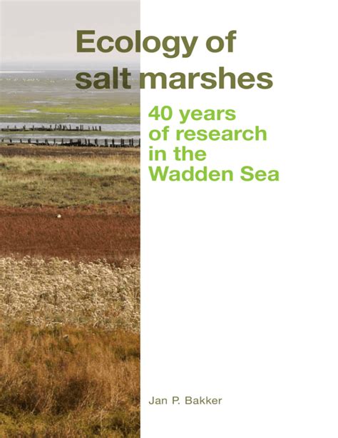Ecology Of Salt Marshes