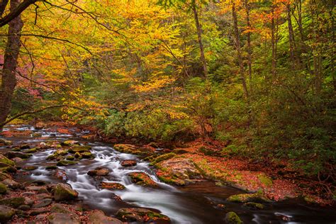 Mountain Stream Fall Colors Smoky Mountains Fine Art Print Photos By