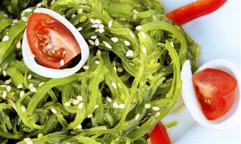 Cómo cocinar las algas para su consumo. Tendencias 'gastro': algas comestibles, salud y ...