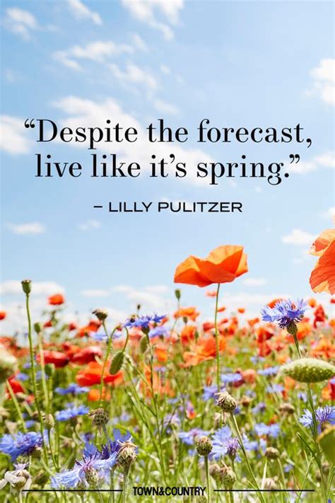 30 Best Spring Quotes Inspirational And Funny Sayings About Spring