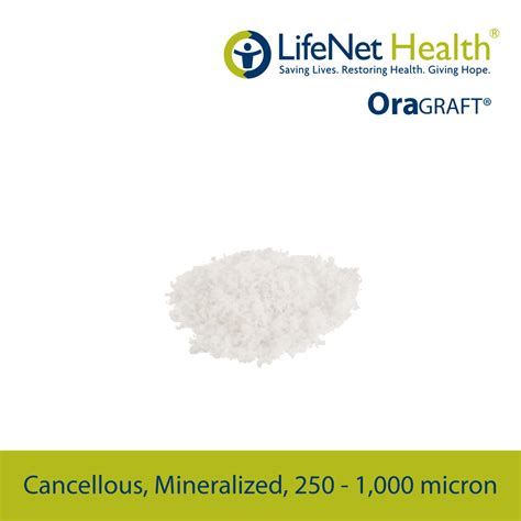 Cancellous Mineralized 250 1000 Micron Galla Dental