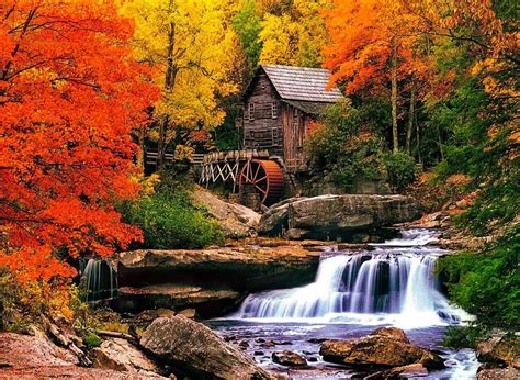 Best Places To See Fall Foliage In West Virginia Everywhere Forward