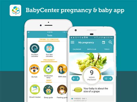 We've rounded up ones for iphone and android so you're sure to find healthyout can be used as a pregnancy nutrition app that keeps you eating healthy while you're out, finding the most nutritious food for you and your. Top 10 Best Pregnancy Tracker Apps For iOS And Android ...