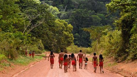 Brazils Indigenous People Miners Kill One In Invasion Of Protected
