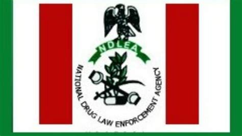 National drug law enforcement agency (ndlea) role specific requirement 2019 Nationwide Recruitment at The National Drug Law ...