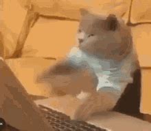 Search, discover and share your favorite typing gifs. Typing Cat GIFs | Tenor