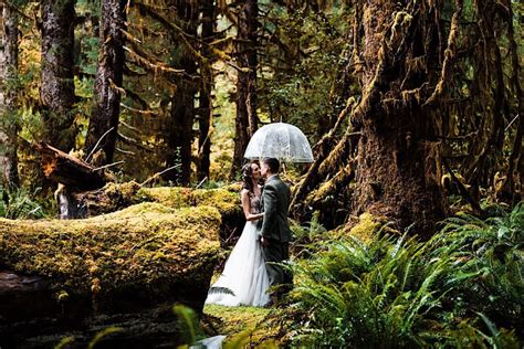 Hoh Rainforest Elopement The Foxes Photography 🦊