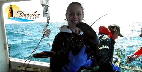 Eat Nova Scotia Lobster! | Nova scotia lobster, Nova scotia, Scotia