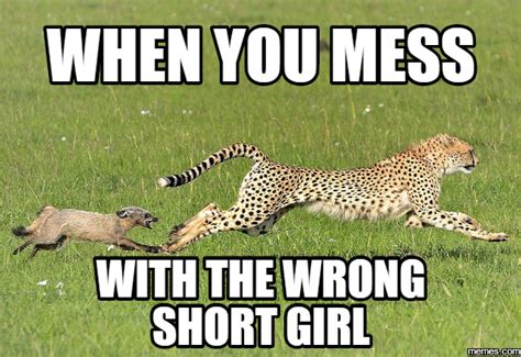 30 Memes That Short Girls Will Understand Short