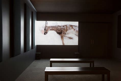 Scroll to top the power paradox true power requires modesty and empathy, not force and coercion, argues dacher keltner.but what people want from leaders—social intelligence—is what is damaged by the experience of power. MFA Thesis Exhibition 2017, Everything Is Fine | Art ...