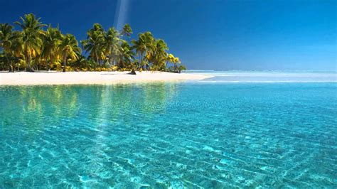 Free Live Beach Screensavers Related Keywords And Suggestions Free Live