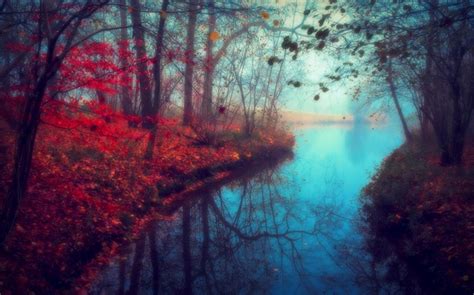 Beautiful Nature Scenery Autumn River Trees Red Leaves