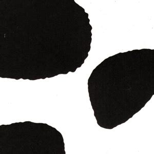 Get the best deals on cow print skirt and save up to 70% off at poshmark now! 20x30 Black Cow Print Tissue / 240 sheets
